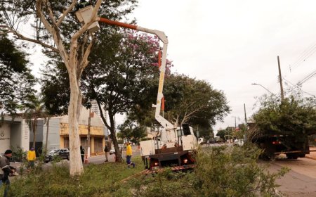 Prefeitura de Dourados reforça poda de árvores e retirada de cabos na Weimar Torres
