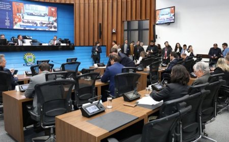 Pojeto que cria diretrizes de proteção às mães atípicas vai à 2ª votação na Assembleia