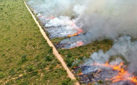 Governo de MS Declara Emergência Ambiental para Enfrentar Incêndios Florestais