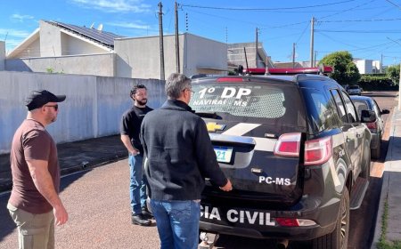 Mulher é presa durante operação contra grupo suspeito de furtar caminhonetes
