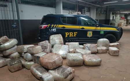 Caminhoneiro é preso com 550 kg de skunk e 33 kg de cocaína na BR-262