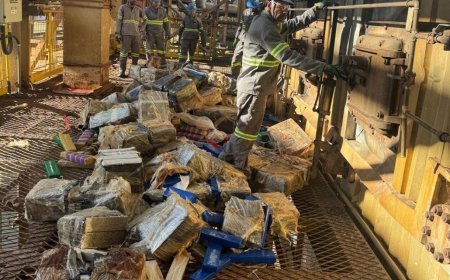  Mais de 4 toneladas de entorpecentes são incineradas no interior do MS