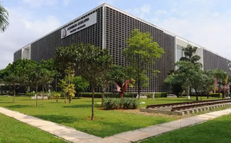 Mais de 70 Mulheres Tiveram Mandatos Cassados em 10 Anos no País