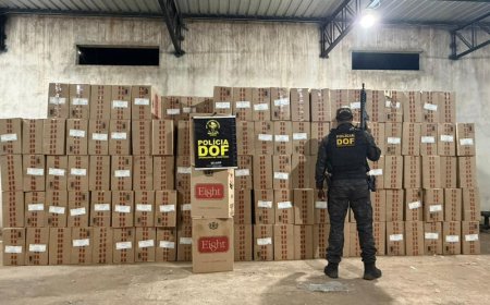 DOF descobre depósito clandestino e apreende 22,5 mil pacotes de cigarros