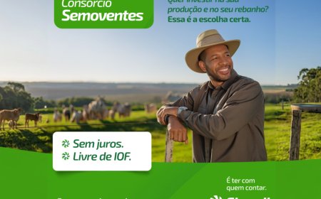 Sicredi Centro-Sul MS/BA Intensifica Consórcio de Semoventes para Setor Agropecuário