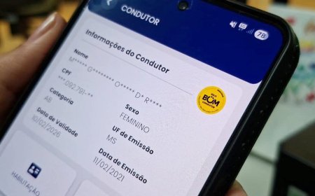 Renovação Automática da CNH é Sancionada e Pode Reduzir Burocracia