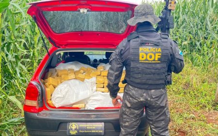 Fuga Termina com Apreensão de Mais de Meia Tonelada de Drogas em Maracaju
