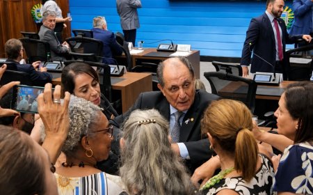 Projeto de Lei Reserva Vagas em Contratos Públicos para Vítimas de Violência Doméstica