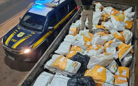 Carga milionária de maconha é descoberta sob sacas de chia