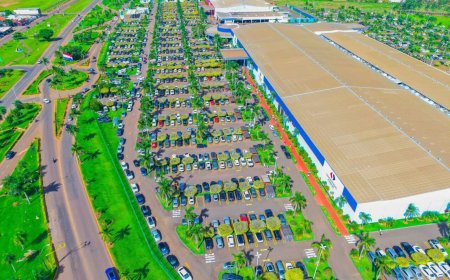 Crazy Week: Shopping China Promove Descontos de até 50% em Produtos Seleccionados
