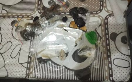 Mulher Flagrada com Droga no Sutiã é Presa em Penitenciária
