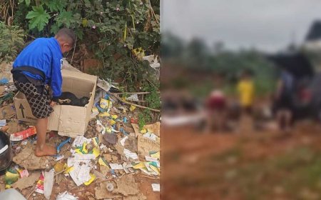 Filhotes de Cachorro Abandonados em Lixão do Tarumã