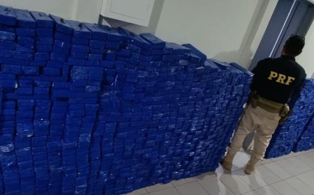 Motorista Preso com Quase Uma Tonelada de Maconha na MS-276