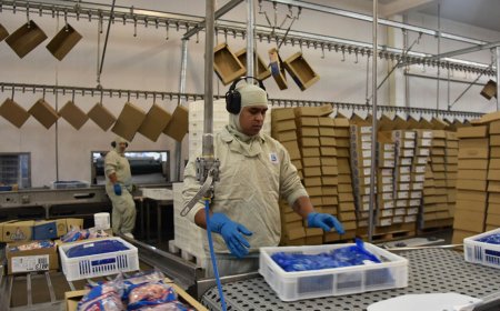 Exportações de industrializados de MS somam US$ 605,1 milhões em maio