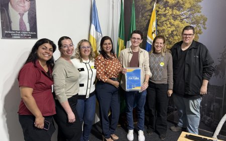 Comissão de Cultura da Câmara de Dourados Recebe Minuta do Plano de Cultura e do Livro