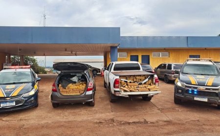 Perseguição Policial Termina com Apreensão de Veículos Carregados de Maconha