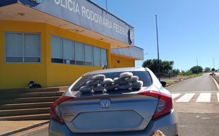 Mulher é presa com 50 quilos de skunk enquanto viajava com a filha menor