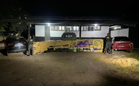 Polícia Apreende 2,4 Toneladas de Maconha em Imóvel Abandonado