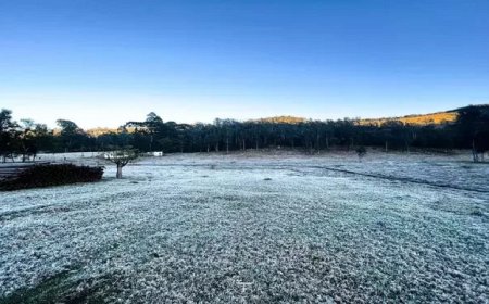 Frio Intenso em Mato Grosso do Sul: Geada em 12 Cidades