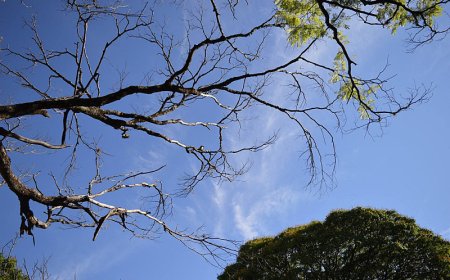 Frio Persiste em Dourados com Sol e Nuvens