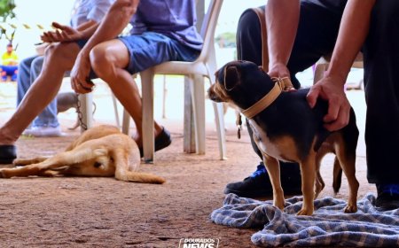 Caravana da Castração deixa um legado permanente para Mato Grosso do Sul