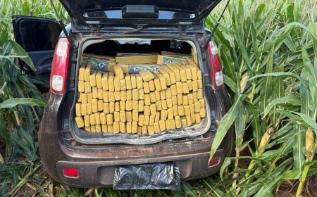 Polícia Apreende Quase Duas Toneladas de Maconha em Ações Contra o Tráfico