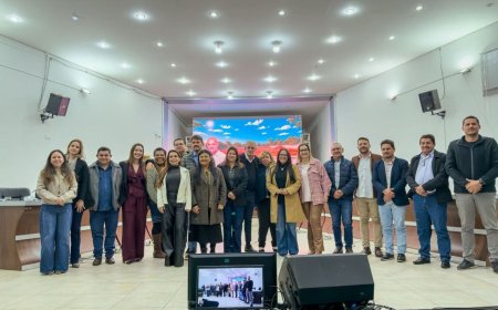 Criado Comitê para Conduzir Criação do Hospital Regional do Cone Sul