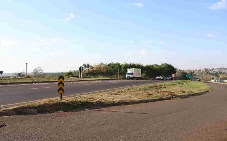 Idoso Morre Após Ser Atropelado em Rodovia