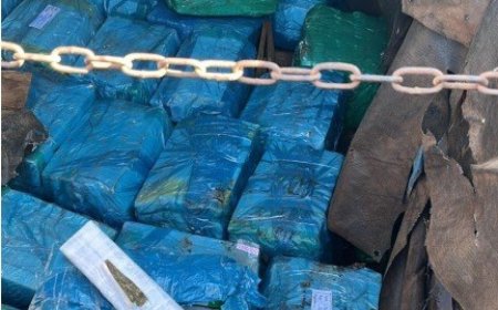 Ação Conjunta Apreende 1,4 Tonelada de Maconha entre MS e PR
