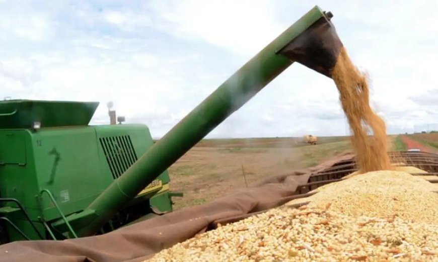 Mato Grosso do Sul registra 2º maior crescimento do agronegócio no país