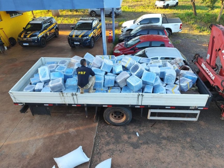 Quase 5t de maconha são apreendidas em meio a carga de sementes de girassol
