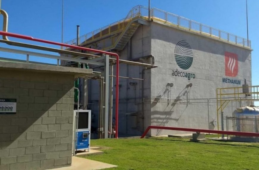 Mato Grosso do Sul Inicia Mineração de Bitcoins em Julho com Energia Renovável