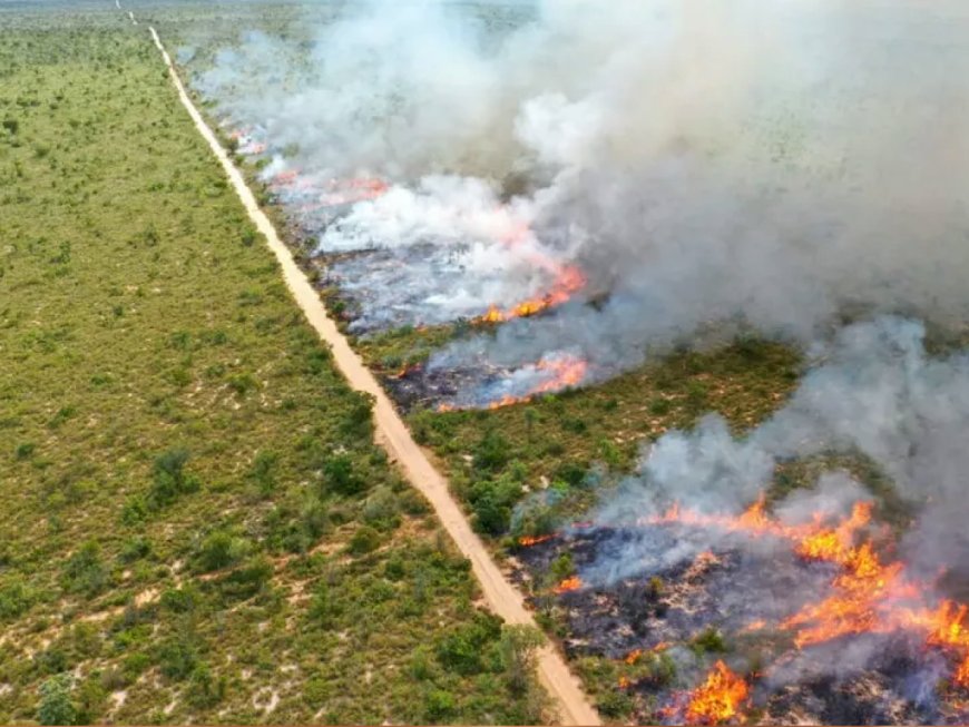 Governo de MS Declara Emergência Ambiental para Enfrentar Incêndios Florestais