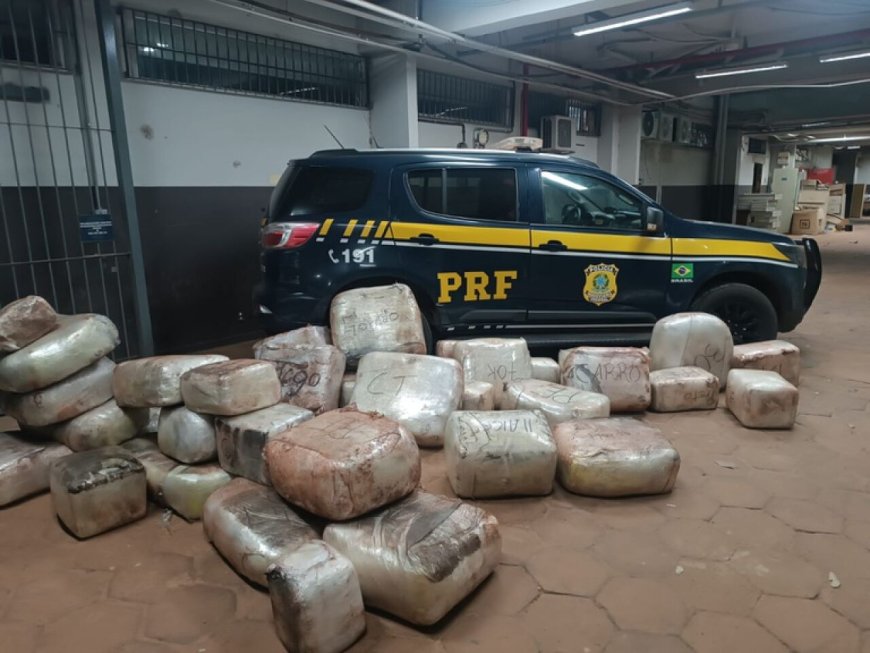 Caminhoneiro é preso com 550 kg de skunk e 33 kg de cocaína na BR-262