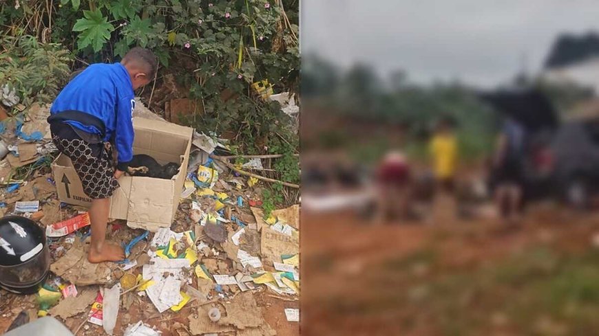 Filhotes de Cachorro Abandonados em Lixão do Tarumã