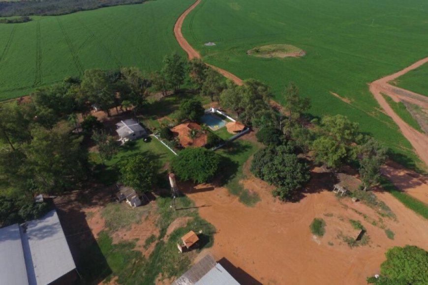 Juiz Decide que Fazenda em MS Deve Ficar com Dono Devedor