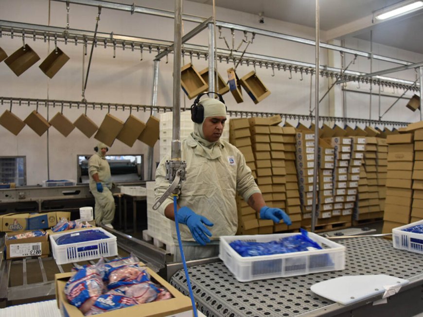 Exportações de industrializados de MS somam US$ 605,1 milhões em maio