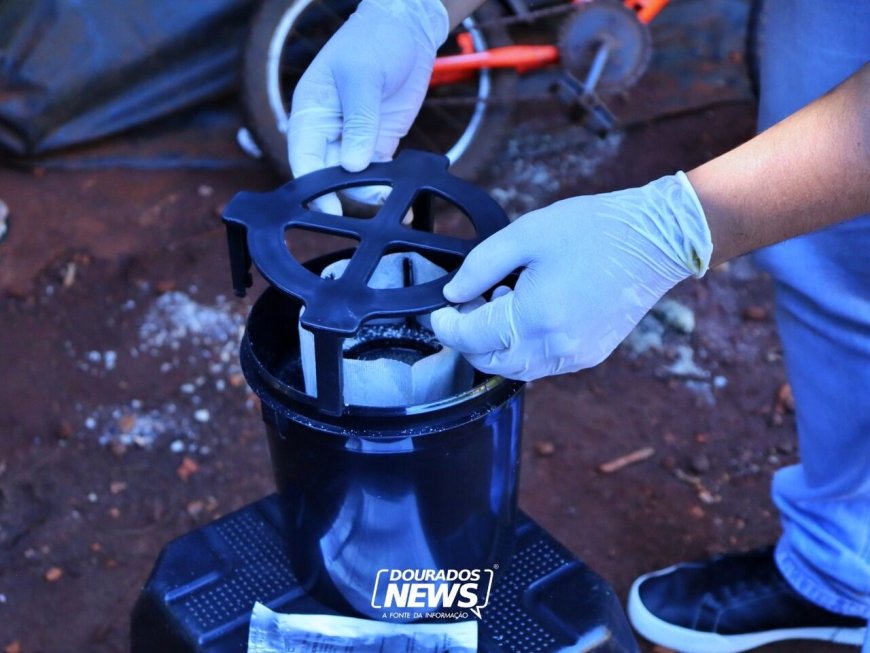 Prefeitura de Dourados Realiza Manutenção em 'Armadilhas' Contra o Mosquito Aedes Aegypti
