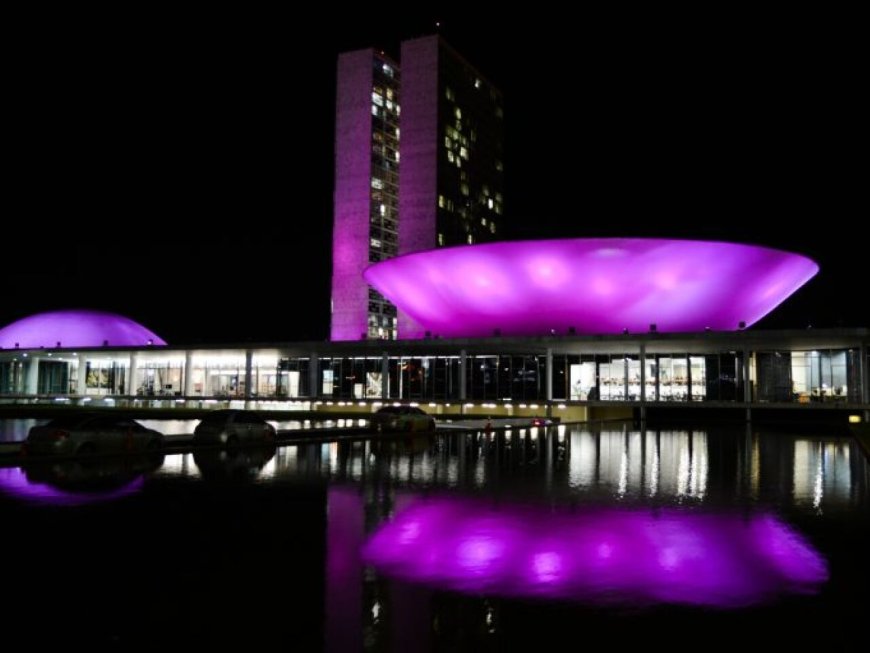 Comissão da Câmara dos Deputados discute falta de medicamentos para epilepsia no Brasil