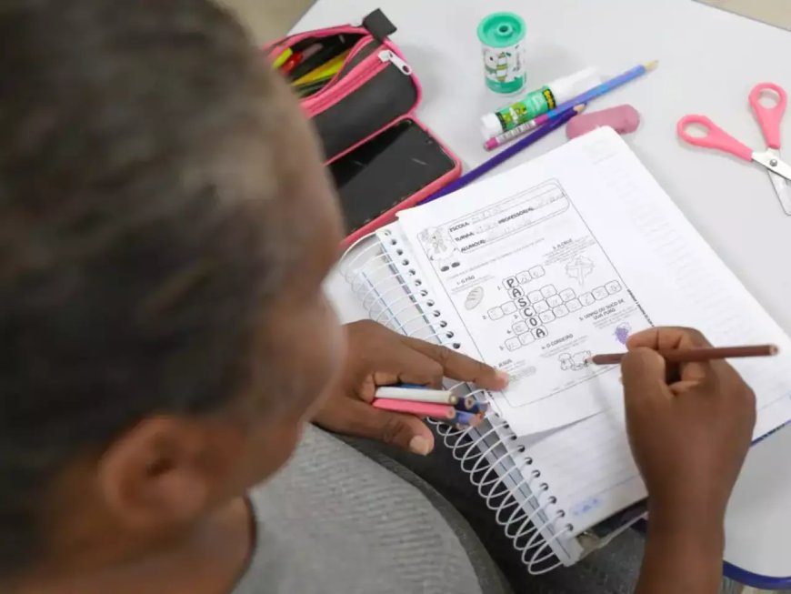 Brasil Registra Menor Número de Analfabetos Desde 2016