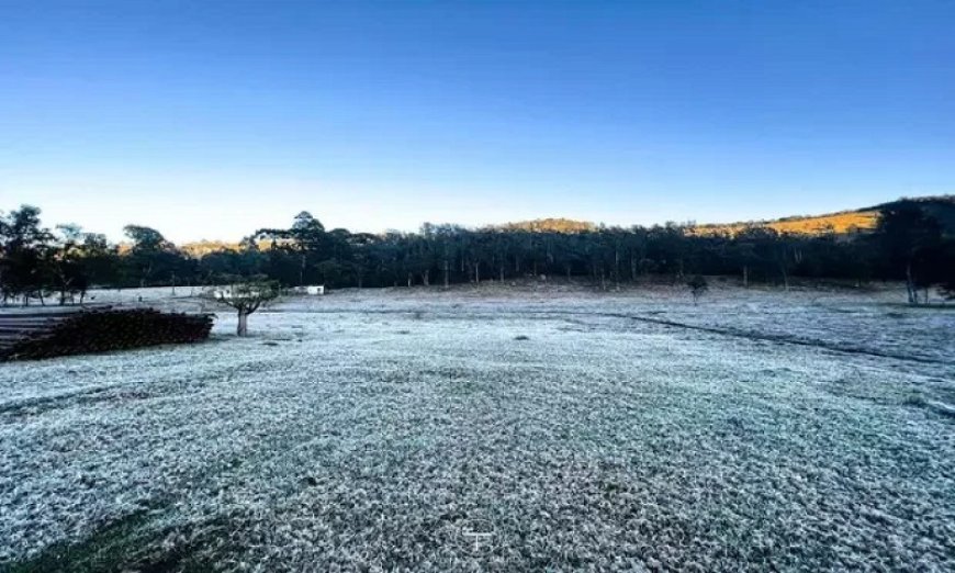 Frio Intenso em Mato Grosso do Sul: Geada em 12 Cidades