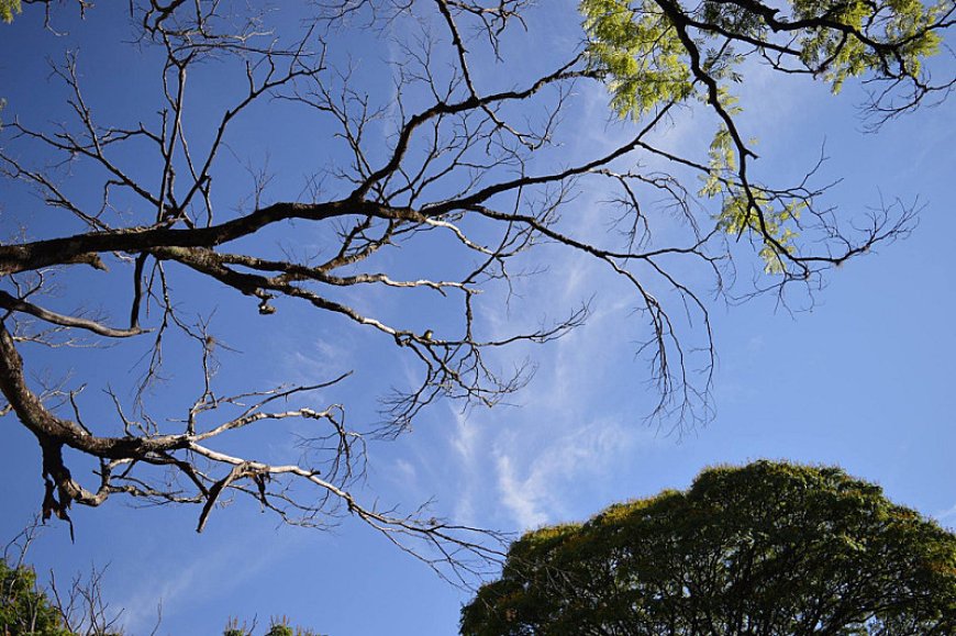 Frio Persiste em Dourados com Sol e Nuvens