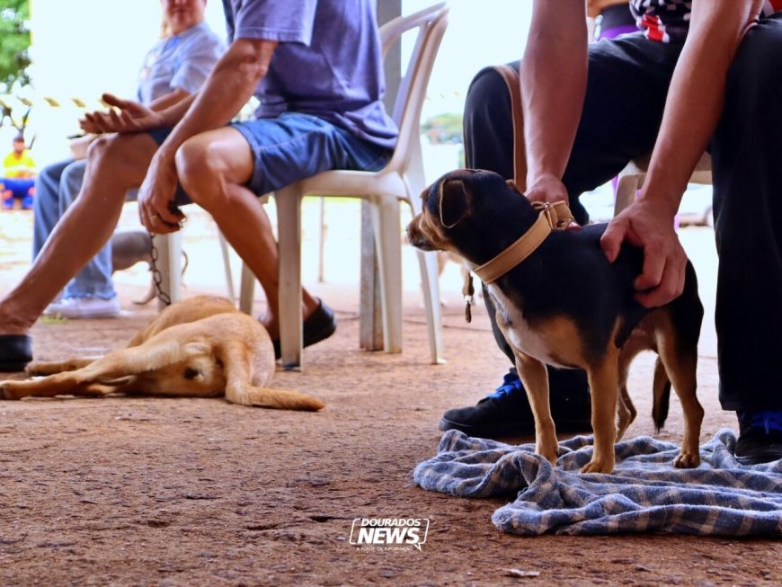 Caravana da Castração deixa um legado permanente para Mato Grosso do Sul