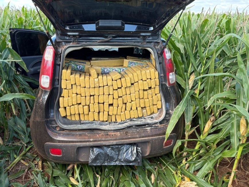 Polícia Apreende Quase Duas Toneladas de Maconha em Ações Contra o Tráfico