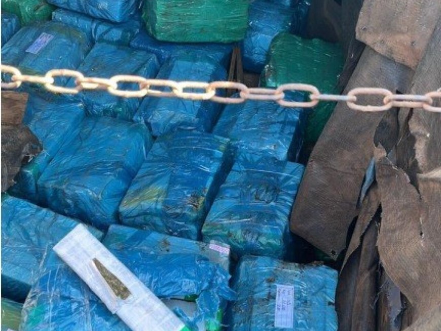 Ação Conjunta Apreende 1,4 Tonelada de Maconha entre MS e PR