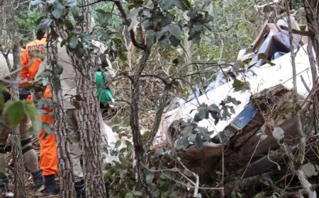 Avião é Localizado com Dois Mortos em Área de Mata Após Horas de Buscas