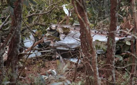 Queda de Avião em Campo Grande Termina com Duas Mortes