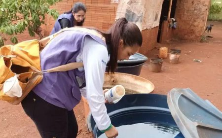 Dourados Confirma Mais Duas Mortes por Chikungunya, Total de Vítimas Sobem para 17