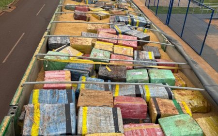 Carreta carregada com maconha é apreendida pela PRF em Vicentina