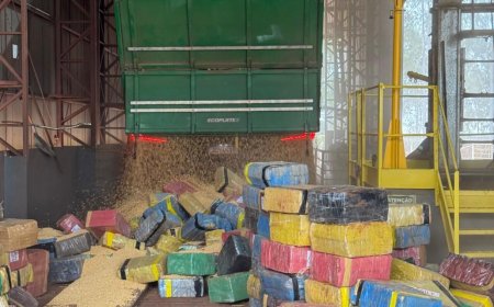 Maconha apreendida em carreta que seguia para o Paraná pesou mais de 6 toneladas